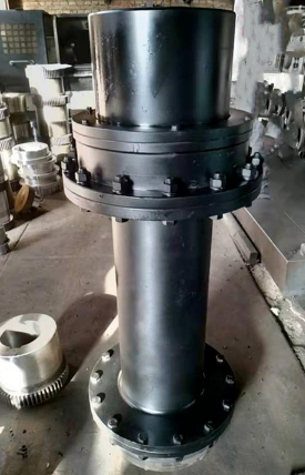 WGT型接中间套鼓型齿式联轴器